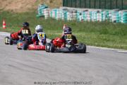 20110501_ales_agnus (2404)